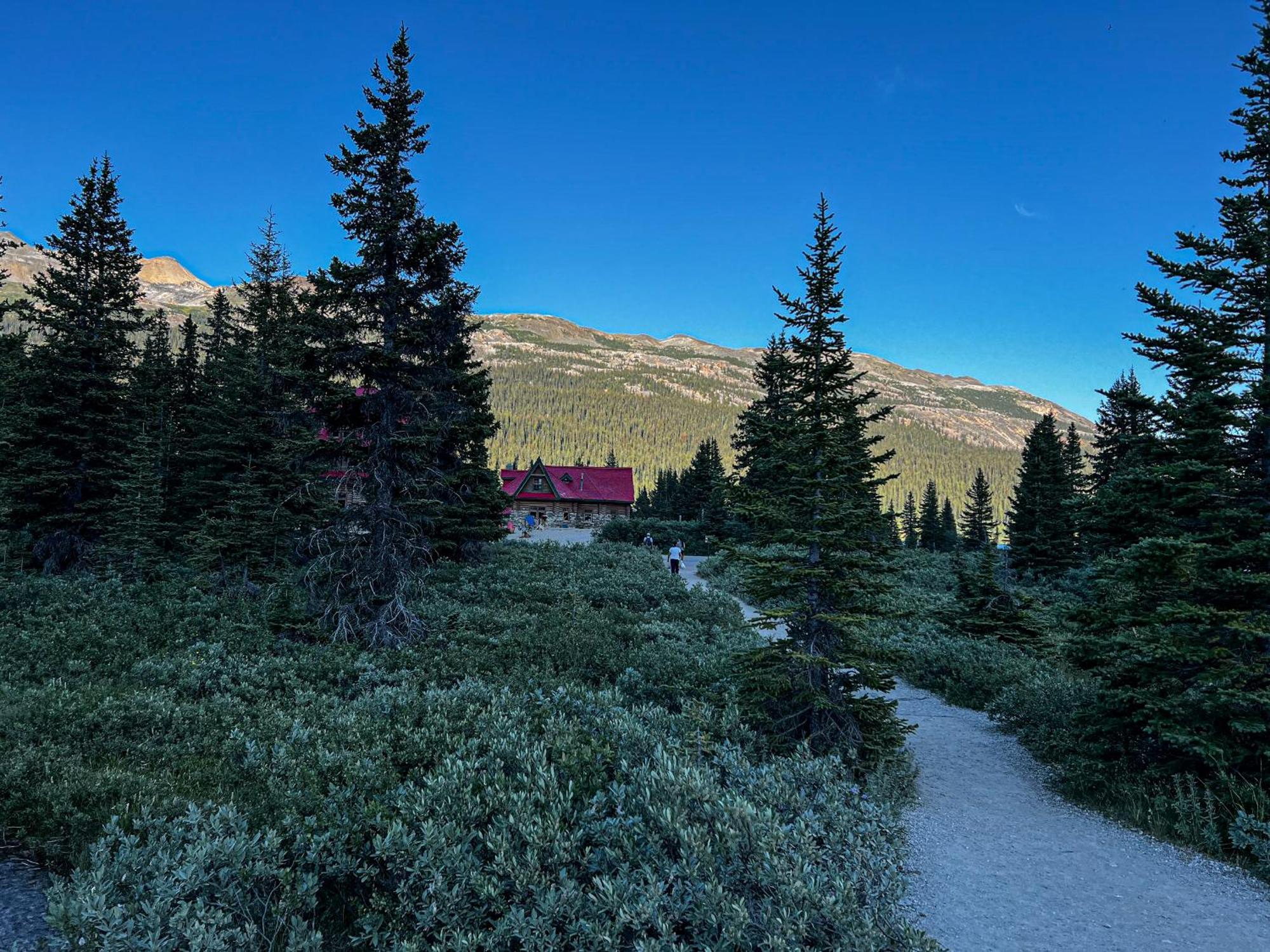 The Lodge At Bow Lake Лейк-Луиз Экстерьер фото