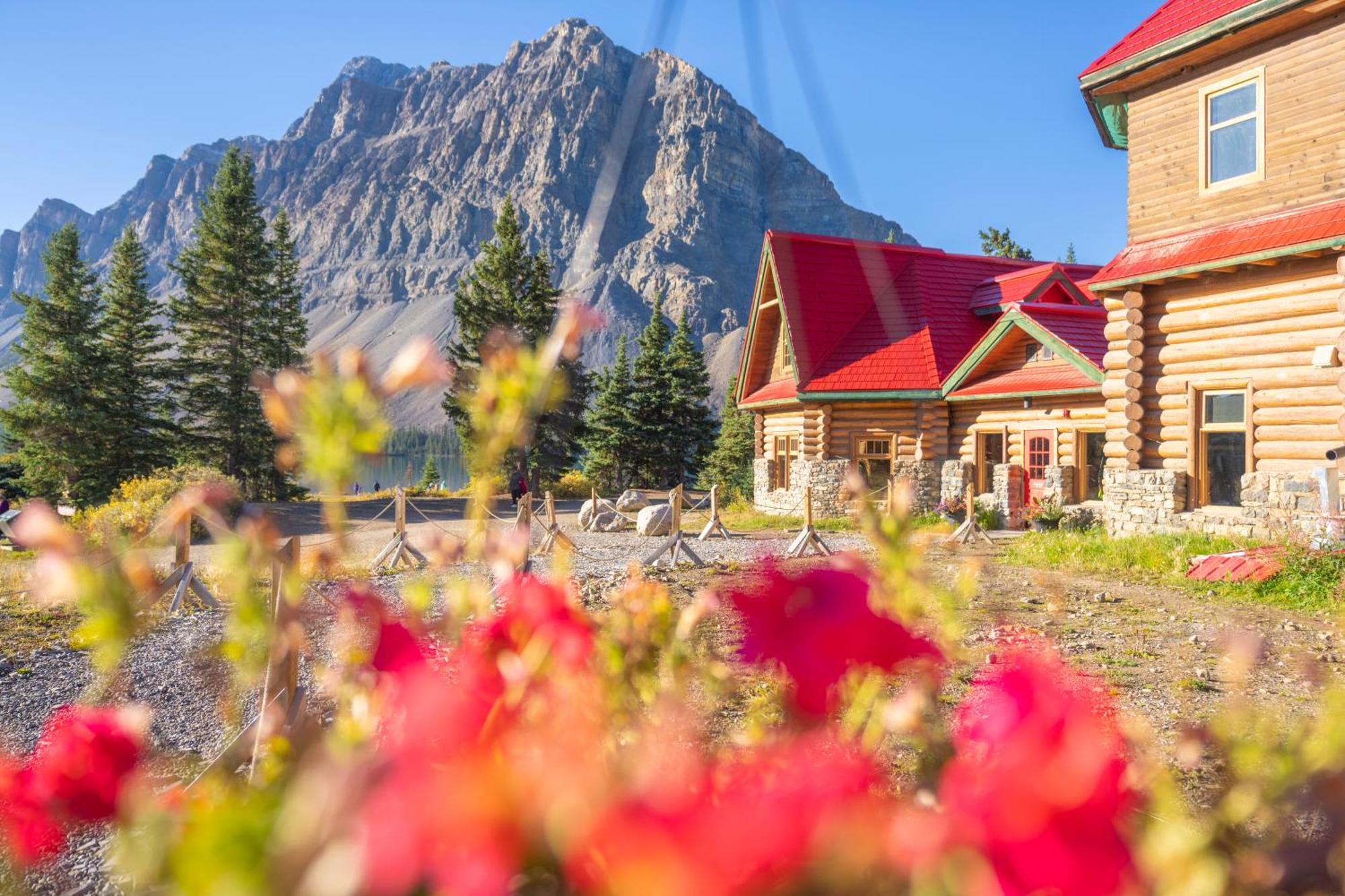 The Lodge At Bow Lake Лейк-Луиз Экстерьер фото